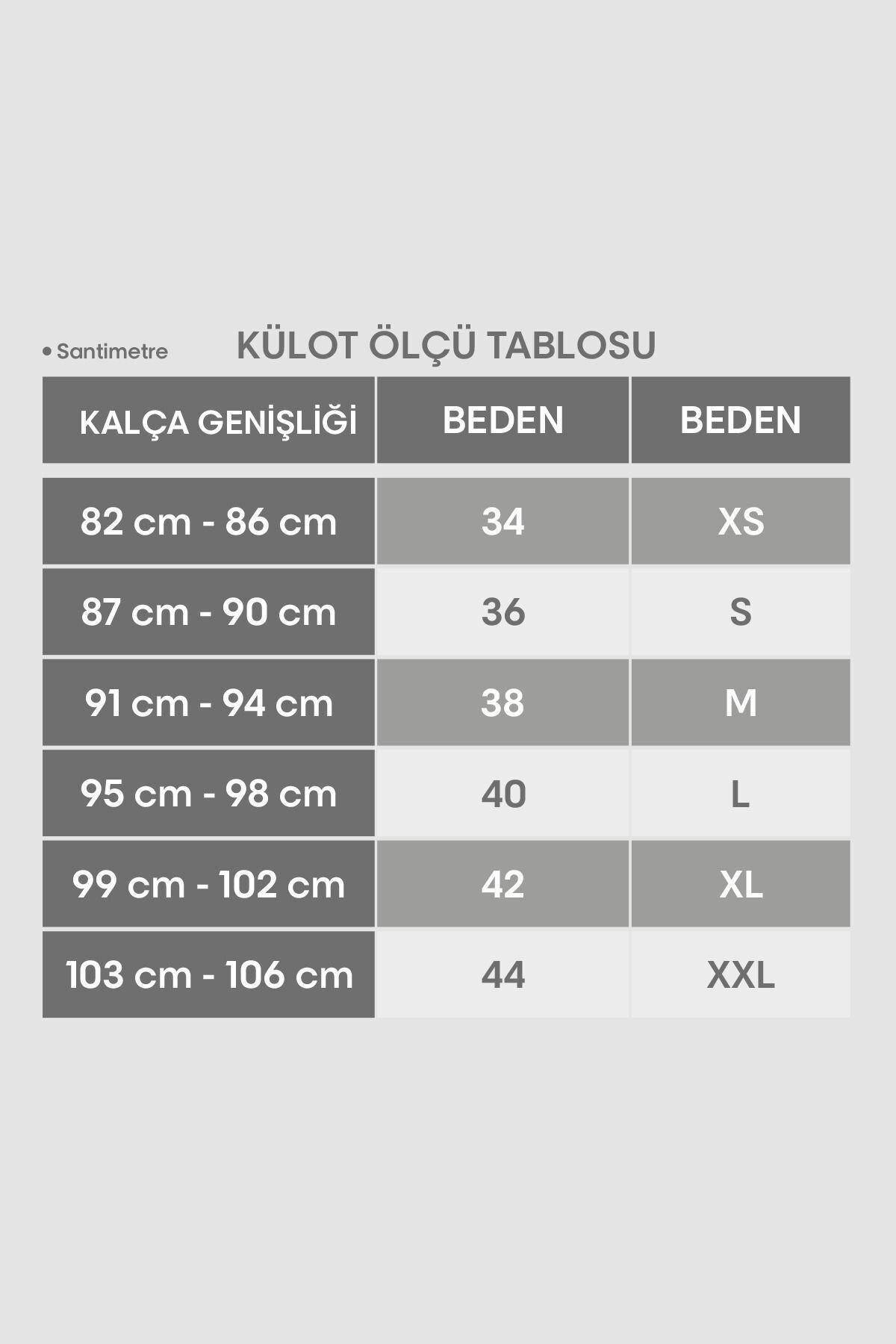 3'lü Ekonomik Paket Magic 2701 Pamuklu Basic Baskı Ve Desenli Brazilian Külot - Görsel 5